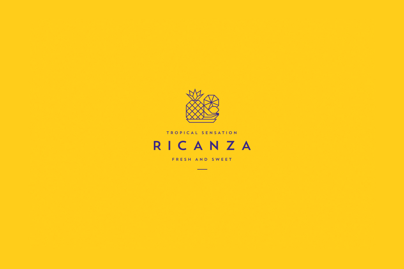 Ricanza品牌VI设计欣赏-深圳VI设计4